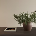 Vase with Green Plant on Dark Wooden Table and a Book against Light Colored Wall