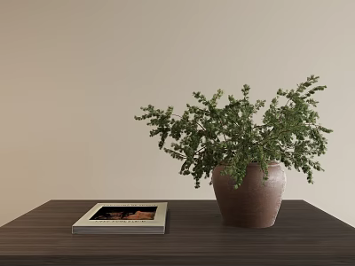 Vase with Green Plant on Dark Wooden Table and a Book against Light Colored Wall 3d model