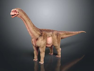 Realistic Sauropod Dinosaur 3D Model With Long Neck And Textured Skin 3d model