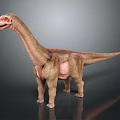 Realistic Sauropod Dinosaur 3D Model With Long Neck And Textured Skin