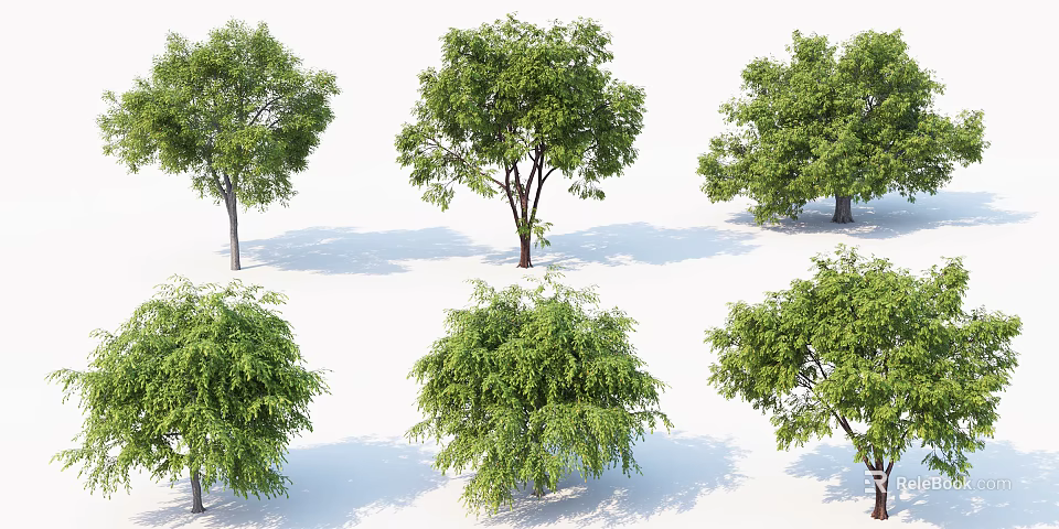 Collection of Six Different Shaped Arbor Trees Featuring Green Foliage on White Background with Shadows 3d model 
