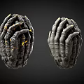 Mythical Monster Claws With Textured Surface Left Glowing Yellow And Right Dark