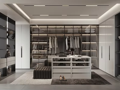Modern Walk in Closet With Glass Door Cabinets Hanging Clothes And Central Display Table 3d model