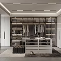 Modern Walk in Closet With Glass Door Cabinets Hanging Clothes And Central Display Table
