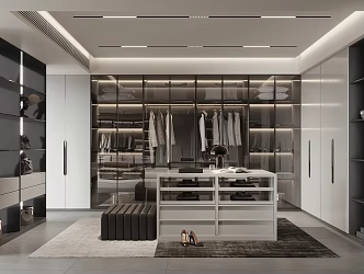 Modern Cloakroom 3d model