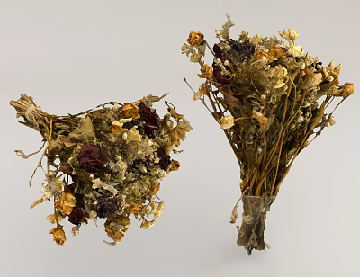 Dried Flower Bouquets Featuring Loose and Tied Arrangements with Yellow Purple and Brown Hues 3d model