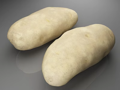 Two Fresh Raw Whole Healthy Potatoes on Gray Surface Natural Vegetables 3d model