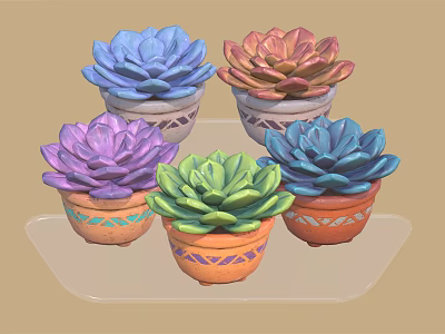 Colorful Succulent Plants in Decorative Pots on Transparent Tray for Indoor Garden Decoration 3d model
