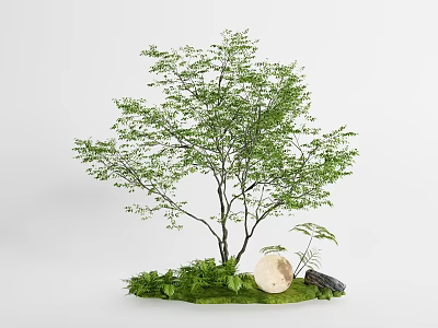 Natural Plant Combination With Tree Green Foliage Mossy Base Round White Stone And Wooden Log 3d model