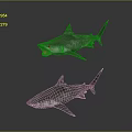 Realistic 3D Shark Models With Open Mouth And Closed Mouth On Gray Background