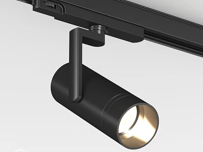 Modern Black Track Mounted Spotlight With Adjustable Focus And Bright Beam 3d model