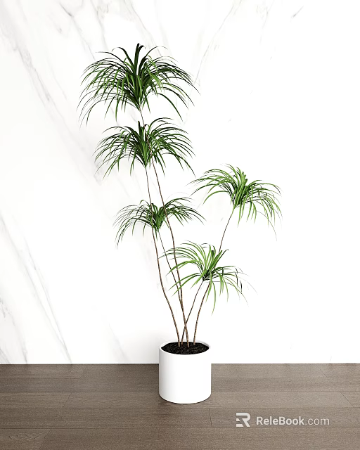 Elegant Green Bonsai Plant With Long Leaves For Indoor Home Decorative 3d model 