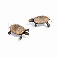 Two Reptile Turtles With Brown Shells Moving Slowly On White Surface 3d model