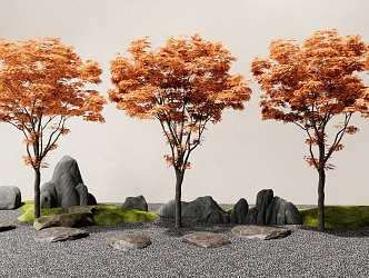 Japanese-style red maple landscape tree courtyard landscaping tree rockery stone landscape stone step 3d model