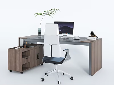 Modern Office Desk With White And Black Chair Computer Monitor Potted Plant And Side Cabinet 3d model