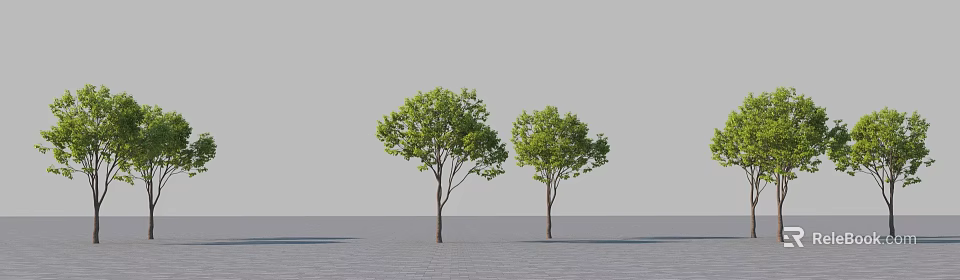 Two Arbor Trees With Green Leaves And Brown Trunks On Gray Paved Ground 3d model
