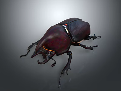 Shiny Dark Beetle With Horned Head And Detailed Leg Structure On Gray Background 3d model