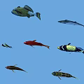 Aquatic Animals Featuring Various Colorful Fish Species Swimming In Blue Water