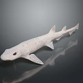 White Spotted Shark 3D Model Display on Dark Reflective Surface with Realistic Details 3d model