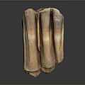 Dried Layered Brown Organ And Hair Structure With Natural Texture Detailed View