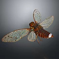 Detailed Cicada With Transparent Wings Red Eyes And Intricate Body Texture