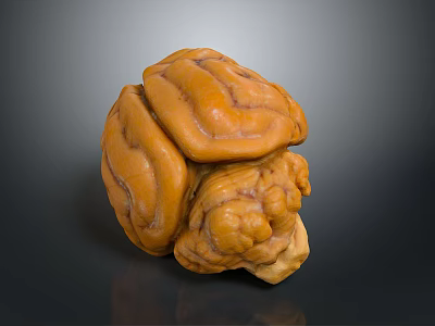Cotton Walnut Hemp Walnut Iron Walnut Melon seed Keppel Walnut Heart-shaped Walnut Black Walnut Melon seed Pistachio 3d model