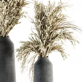 Stylish Minimalist Natural Dried Flowers Decorative Ornament Set with Black Vases