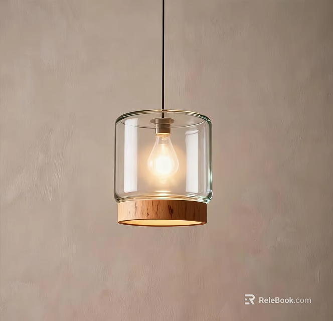 Modern Transparent Glass Pendant Light With Wooden Base Hanging Against Light Wall 3d model 