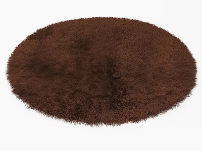 Soft Brown Fluffy Round Carpet for Living Room Home Decor 3d model