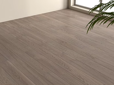 Light Oak Wooden Flooring with Natural Light and Indoor Green Plant 3d model