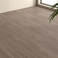 Light Oak Wooden Flooring with Natural Light and Indoor Green Plant
