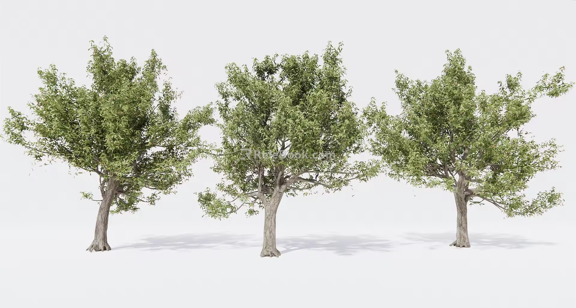 Modern Tree Landscape Tree Garden Tree Big Tree 3d model