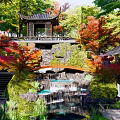 Natural Rockery Stones With Waterfall Red Maple Trees And Pavilion In Traditional Garden