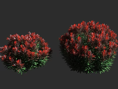 Two Red Flowering Shrubs With Green Leaves On Gray Background 3d model