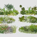Tree Pit Landscaping With Diverse Green Plants And Lush Foliage Design