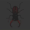 Modern spade carapace stag beetle stag shovel beetle 3d model