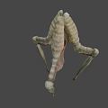 3D Rendered Biomechanical Creature With Segmented Body And Slender Legs