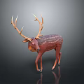 Brown Deer With Majestic Antlers Standing On Dark Reflective Surface In Studio