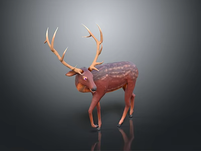 Brown Deer With Majestic Antlers Standing On Dark Reflective Surface In Studio 3d model