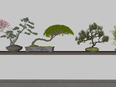 Various Bonsai Plants Displayed On Shelf With Different Shapes And Green Foliage 3d model