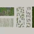 plant wall 3d model