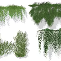Green Decorative Vines With Hanging Foliage And Wall Covering Designs