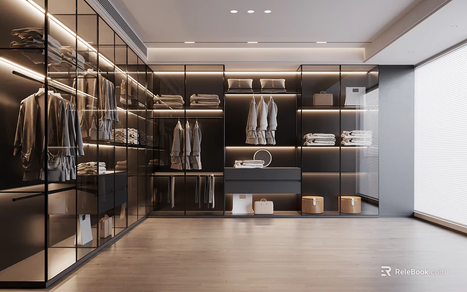 Modern Walk in Closet With Glass Cabinets Organized Clothes And Storage Boxes 3d model 