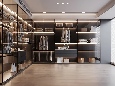 Modern Walk in Closet With Glass Cabinets Organized Clothes And Storage Boxes 3d model
