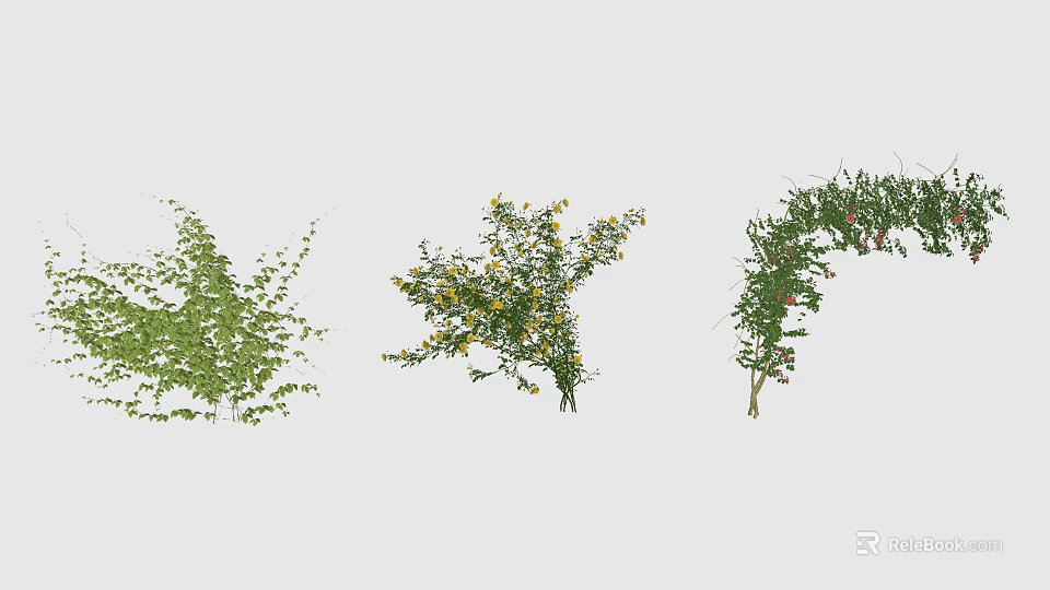 Various Types of Green Vines With Leaves and Yellow Flowers for Home and Garden Decoration 3d model 