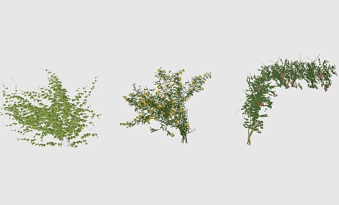 Vine, trumpet, rose 3d model