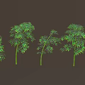 Green Bamboo in Various Shapes Arranged in a Row with Dark Brown Background
