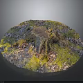 Vibrant Moss And Fallen Leaves In Sunlit Natural Setting Around Tree Stump