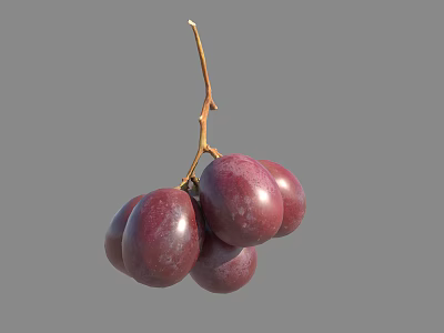 Fresh Purple Grapes Hanging On Vine With Juicy Ripe Berries 3d model