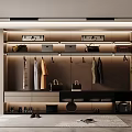 Modern Wardrobe With Hanging Clothes Storage Bags Drawers And Built In Lighting